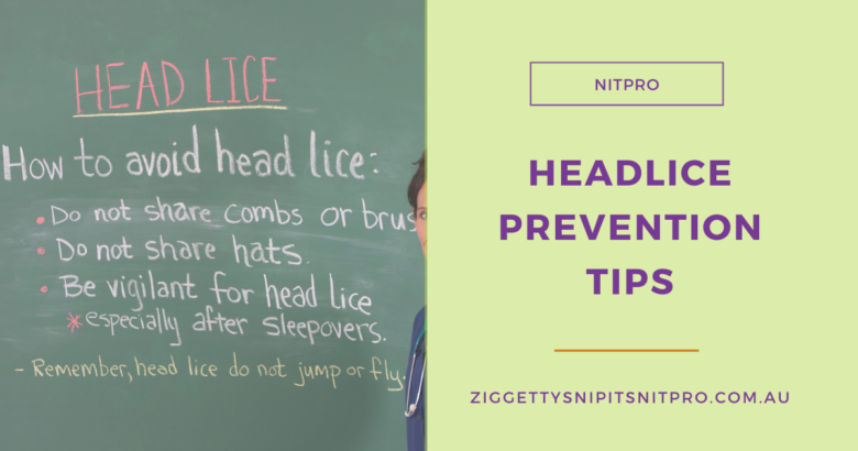 Hair Hub | Headlice Prevention Tips | Ziggetty Snipits Nitpro